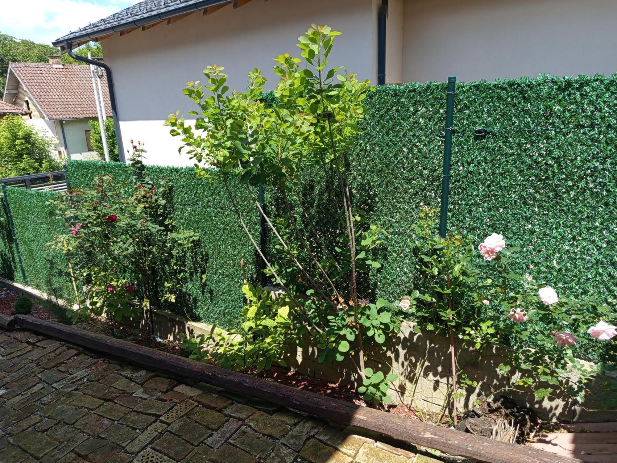 Ferienwohnung Kucica Za Odmor Lena I Matija Sremski Karlovci Exterior foto